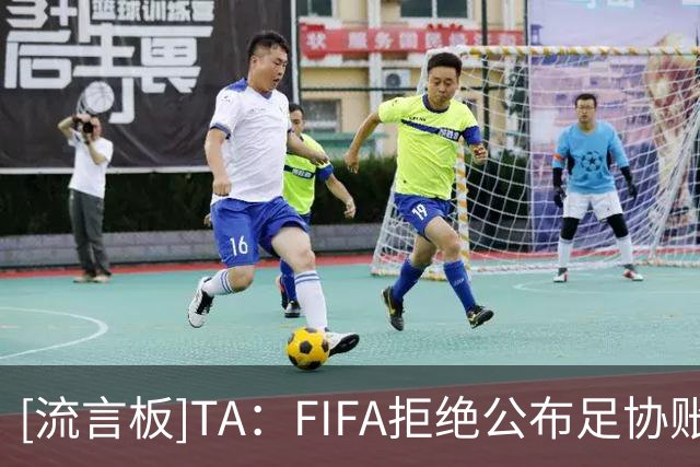 [流言板]TA：FIFA拒绝公布足协账目，包含因凡蒂诺薪资在内审计不明